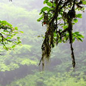 网站购买友情链接有什么样的利弊