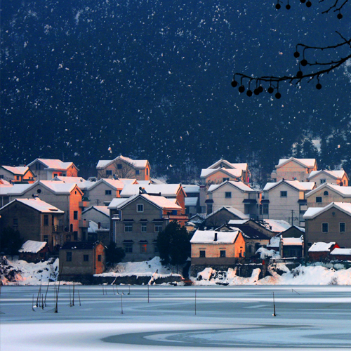 SEO学习基础知识